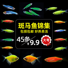 �t�{�����~С���~�^�p�~�ͻ�ɹ���ˮ�~Ⱥ�ε�ˮ�Ꭷ�~�Bˮ������