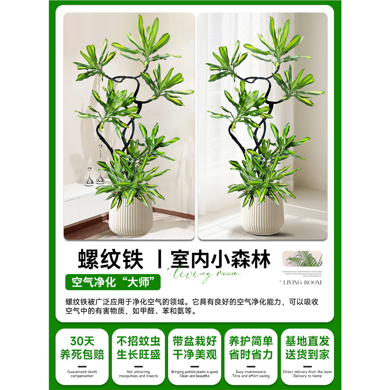 商品图