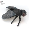 Fly