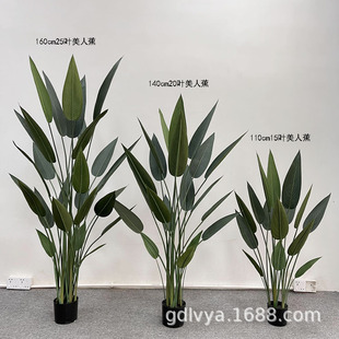 GֲԷ˽˽BҾkbپGֲ