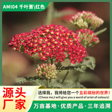 �S��ֱ�Nǧ�~��ݷN�ӻ��њW����䏲����޸��ͺ����л��̨����