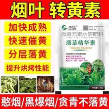 烟草叶面肥落黄素烟叶肥料烟草精华素烟叶提产早收提高品质