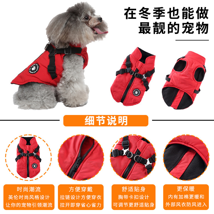 Amazon ジッパー犬ペット服テディ二本足綿服犬服秋と冬暖かいペット冬服|undefined