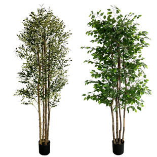 �����Ř��ϙ�����U�S��ľ�쾰�������Q�Gֲ����������Ř����l