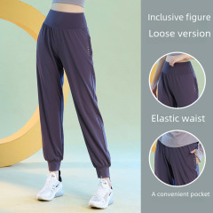 Summer and autumn thin straight leg gym pants women's loose casual outdoor exercise high elasticity quick-drying pants for weight loss