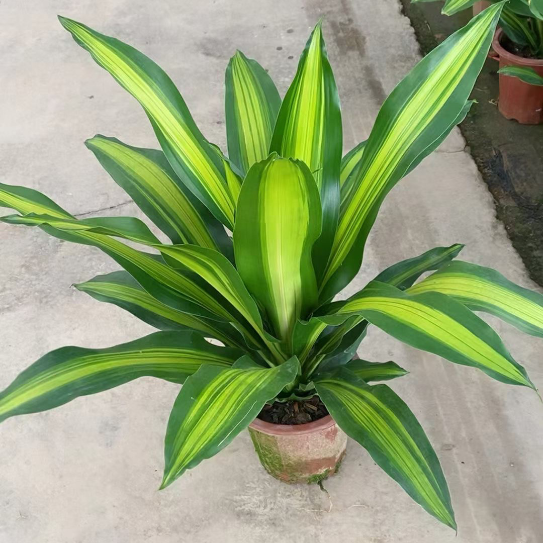 QQ图片20221119091459