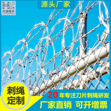 �S�Ҷ���304���P䓵�Ƭ�̾� �WУ�����������P䓵�Ƭ���I��Ƭ���K