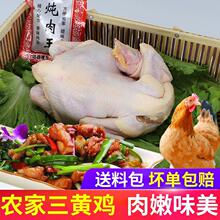 顺丰包邮正宗三黄鸡农家散养土鸡鲜杀笨鸡柴鸡童子鸡 一件代发