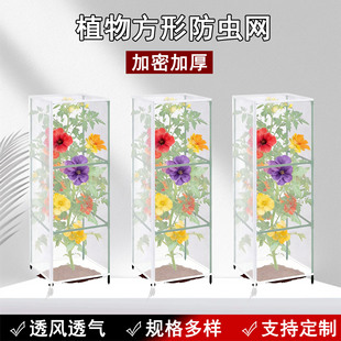 ֲ����x�ַ��ю����K�������ΈA�С���������B�ֻ��@���x�W��