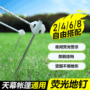 Outdoor fixed tent ground nail windproof rope ground nail fluorescent lengthened bold camping outdoor canopy iron nail 20cm