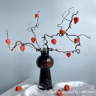 ����ʽ�L������֦��{�����\���t���bҾӲ廨�羳�Q�����N����