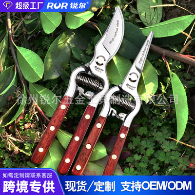 貨源供應果樹修枝剪樹枝剪園藝盆藝剪刀花木粗枝剪省力園林剪工具