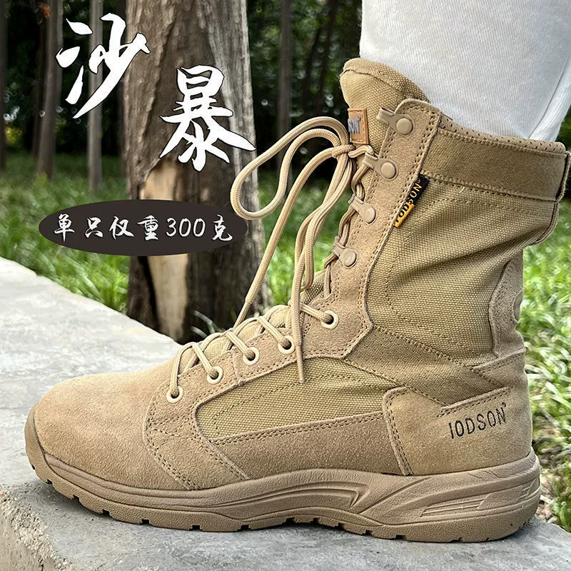 Летучая летучая рыба поколения пустынных сапог