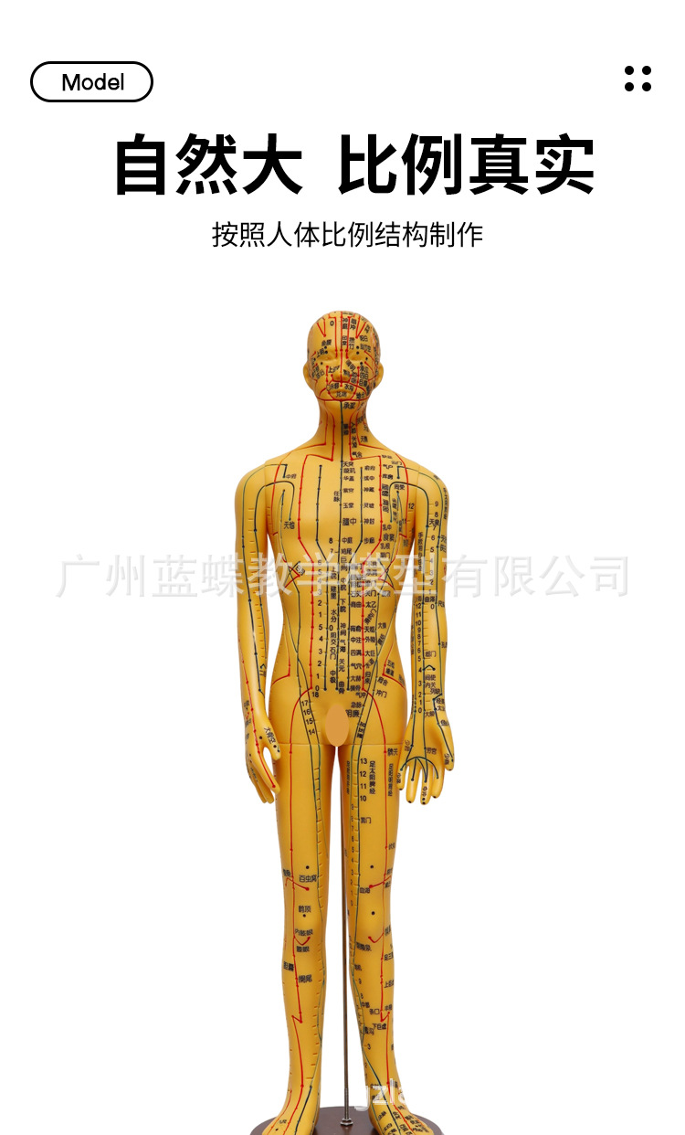 5262cm针灸人_04