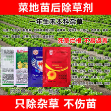 蔬菜苗后除草剂白菜萝卜田除草剂死根烂根芦苇牛筋草尖叶草专杀