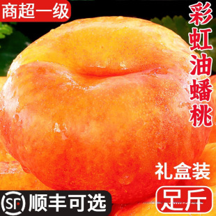 �ʺ�����ҽ��������S�����ͱ������������rˮ������������]