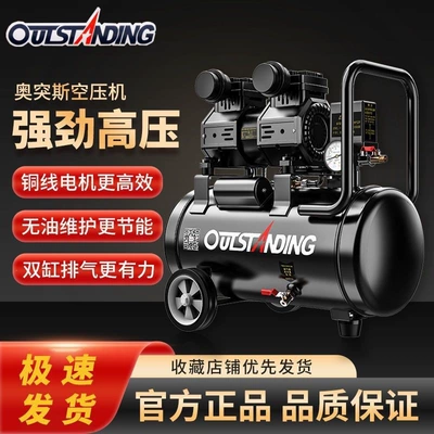 Hava kompressorları — 220V Woodworking Air Pump