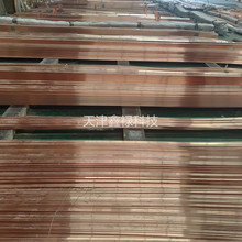 河北t2紫铜排 圆角紫铜排 国标紫铜排  镀锡紫铜排 铜排价格优惠