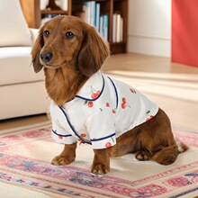 现货宠物服装宠物服饰春夏款小狗狗猫咪法式睡衣可爱工厂一件代发