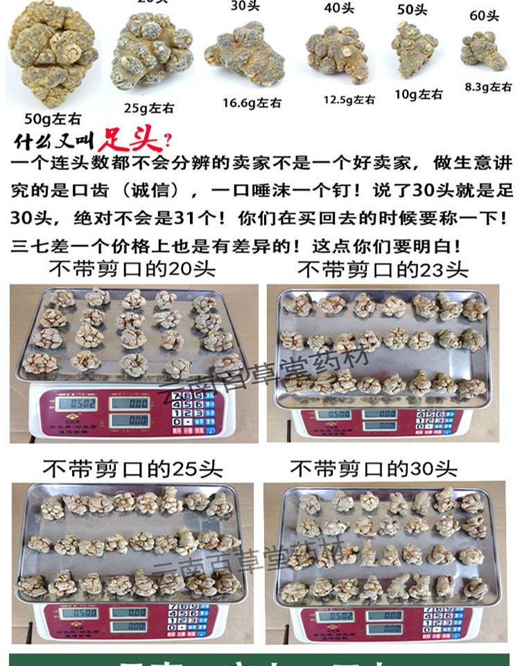 San Qi Notoginseng Root Tian Qi Dried Whole Roots Wenshan Panax notoginseng for Decoction and Powder overview