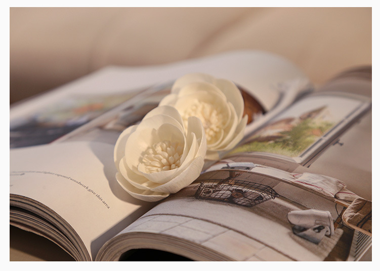 Core Rose Tongcao Flameless Dried Volatile Accessories Diffuser Aromatherapy Artificial Flower_voghion.com