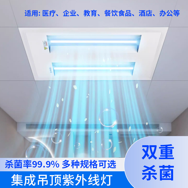 Ultraviolet Germicidal Lamp for Hospitals, Beauty Salons, Hotels, Food Factories, Kindergartens, Schools, Ozone Disinfection Lamp, Integrated Ceiling Lighting