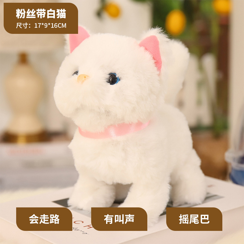 Fanband White Cat (llamada normal)