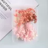 K55 pink dried flower box: free hemp rope for binding flowers and leaves