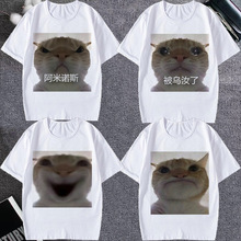 大头猫表情包短袖男女t恤小猫搞笑图案阿米诺斯沙雕学生上衣半袖t