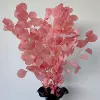 Apple, fuchsia, 100 gram
