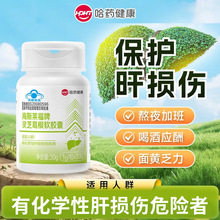 哈药灵芝葛根软护肝软胶囊伤肝男女熬夜酒后大豆卵磷脂保健品正品