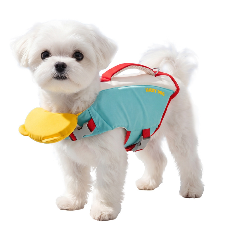 狗狗服装多样