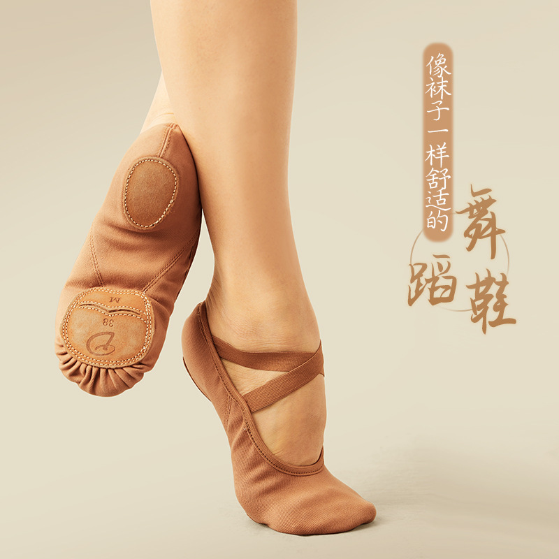 Zapatos de baile de tela elástica completa zapatos de ejercicio de fondo suave para mujer zapatos de garra de gato adulto cuerpo Ballet zapatos de encaje sin empeño