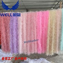 �r�Bë��ɫ�F؛8-10�r�Bë�l9��11ë�l��ë�l��Bë���b��߅�b�