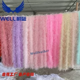 羽毛、羽绒;饰品配件