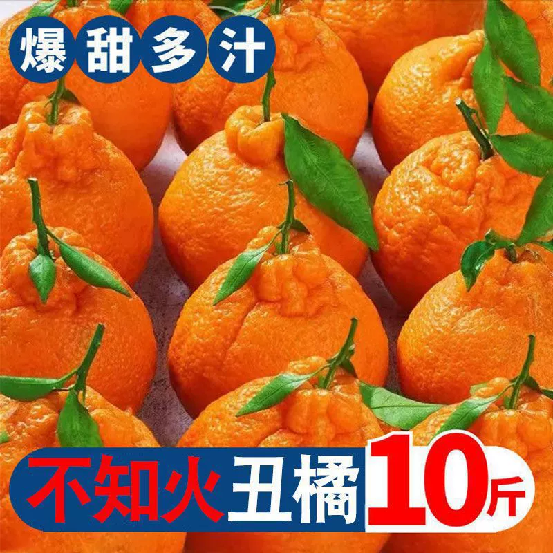 Ugly Orange Sichuan Navel Mandarin 不知火 Fresh Fruit Orange Super Sweet Navel Mandarin Non-Wo Mandarin оптом.