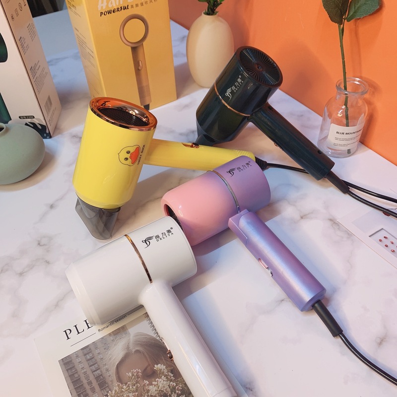 デリヤ ヘアドライヤー 寮 家庭 美容室 ホテル ベッドアンドブレックファスト アパートメント 大型ヘアドライヤー 大風量 静音 快適|undefined