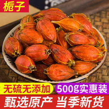 正品栀子500g散装山栀子花茶泡茶红栀子果黄栀子另售菊苣金银花茶
