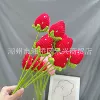 Strawberry red strawberry