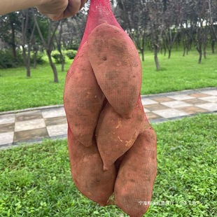 Sweet Potato Mesh Bag, Fruit Mesh Bag, Apple Sweet Potato Mesh Bag, Gauze Mesh Bag, Orange Potato Gauze Mesh Bag, Yam Onion