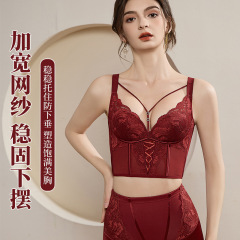 舒适透气蕾丝马甲调整型文胸美背聚拢防下垂塑身大胸显小内衣女