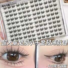 免胶超大量轻薄款小千金假睫毛上镜根根分明贴合眼部纤细舒适清透