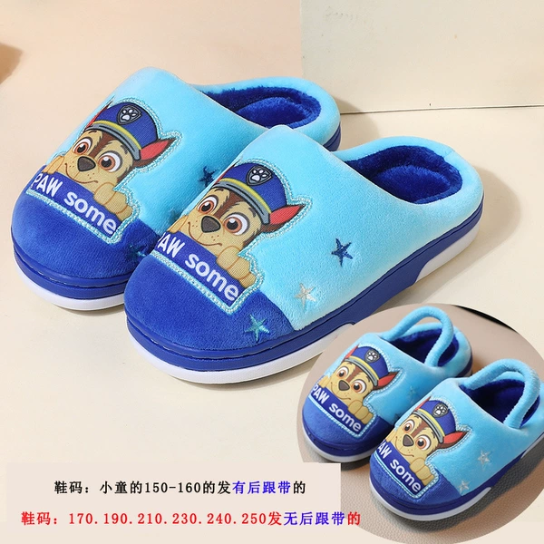 2070 Wangwang team sky blue Aki