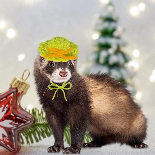 微信截图_20221128110243