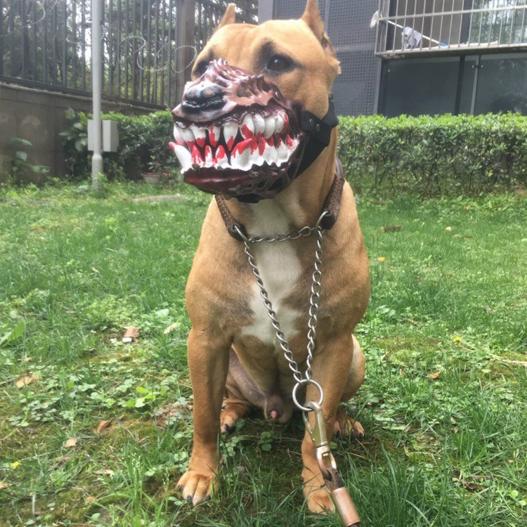 Улыбающийся Ужас Собачий Рот Набор Анти-укусы, Анти-лай и анти-поедание Собачий рот Набор Маленькая, Средняя и большая собака Тедди Золотистый Ретривер Само