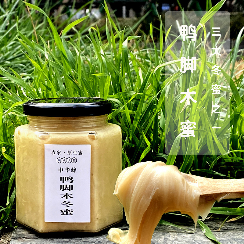 鸭脚木蜂蜜冬蜜 农家蜂场自然成熟原蜜蜂场直采现发多规格可选