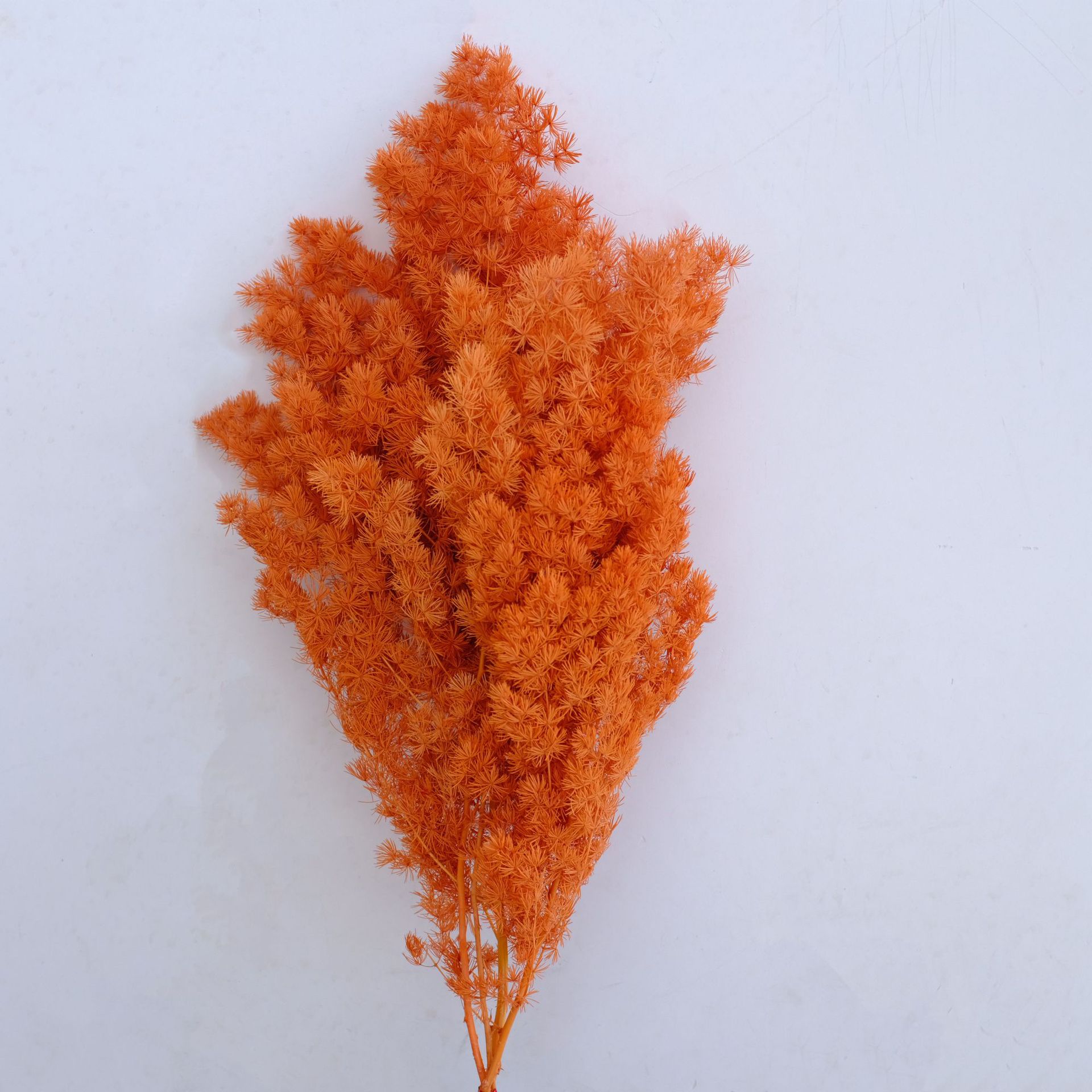 Autumn orange