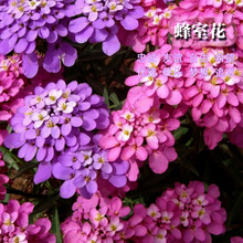 ���һ��N�����l��������֦�~���갫�����ܼ������·N������������