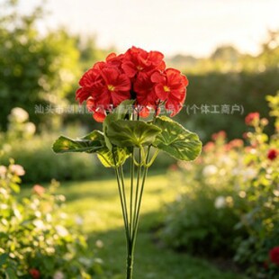 ���ÿ����Ļ����滨���컨��c��̨�쾰���Á��R�d�羳ֱ�I���Ļ�