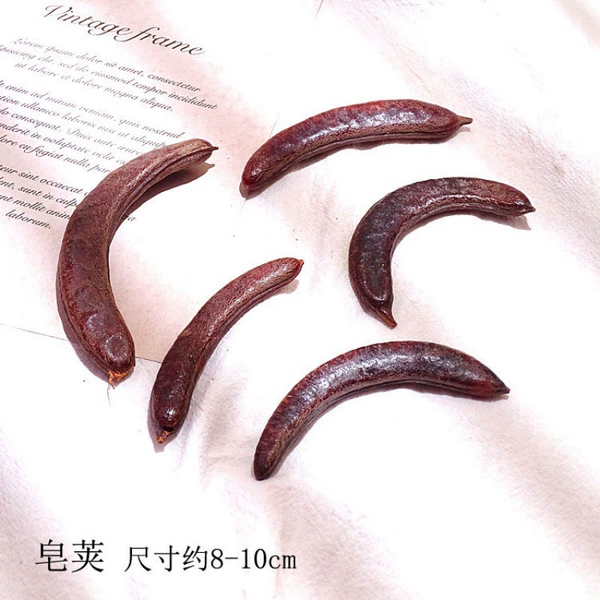 [豆荚5个-干花包]